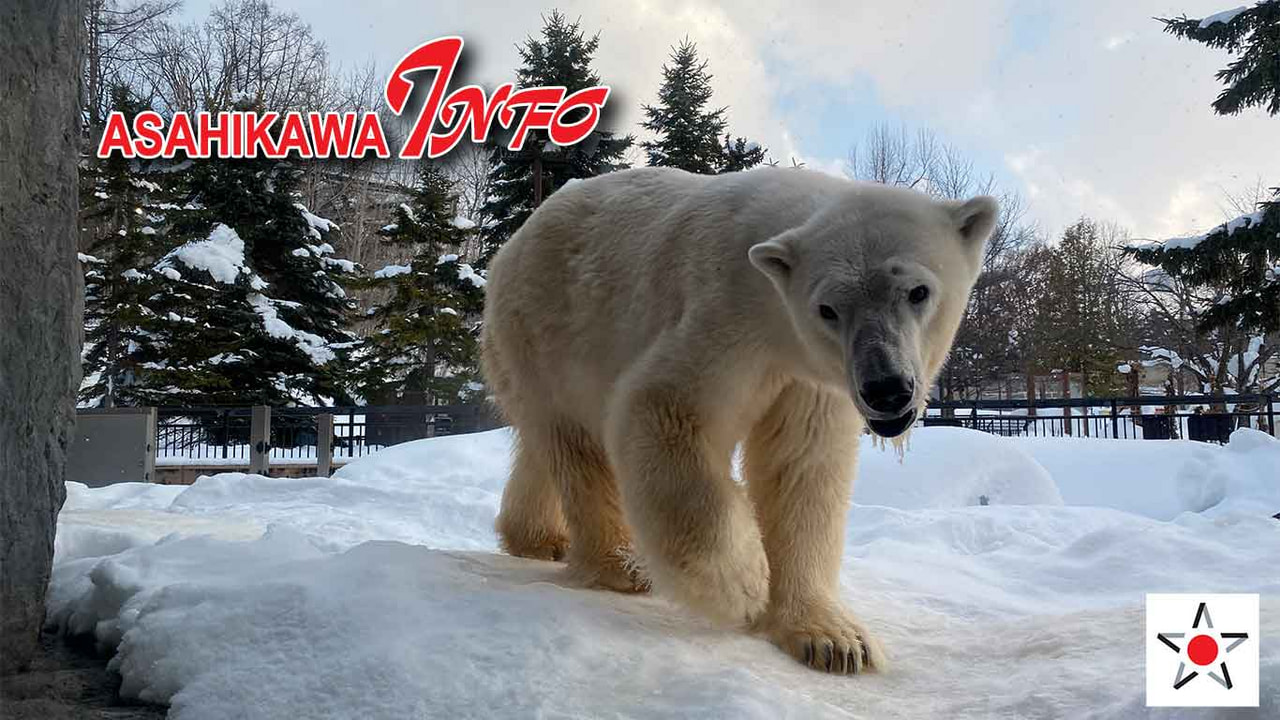 Asahikawa Info